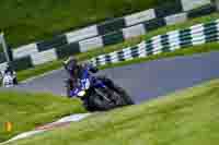 cadwell-no-limits-trackday;cadwell-park;cadwell-park-photographs;cadwell-trackday-photographs;enduro-digital-images;event-digital-images;eventdigitalimages;no-limits-trackdays;peter-wileman-photography;racing-digital-images;trackday-digital-images;trackday-photos